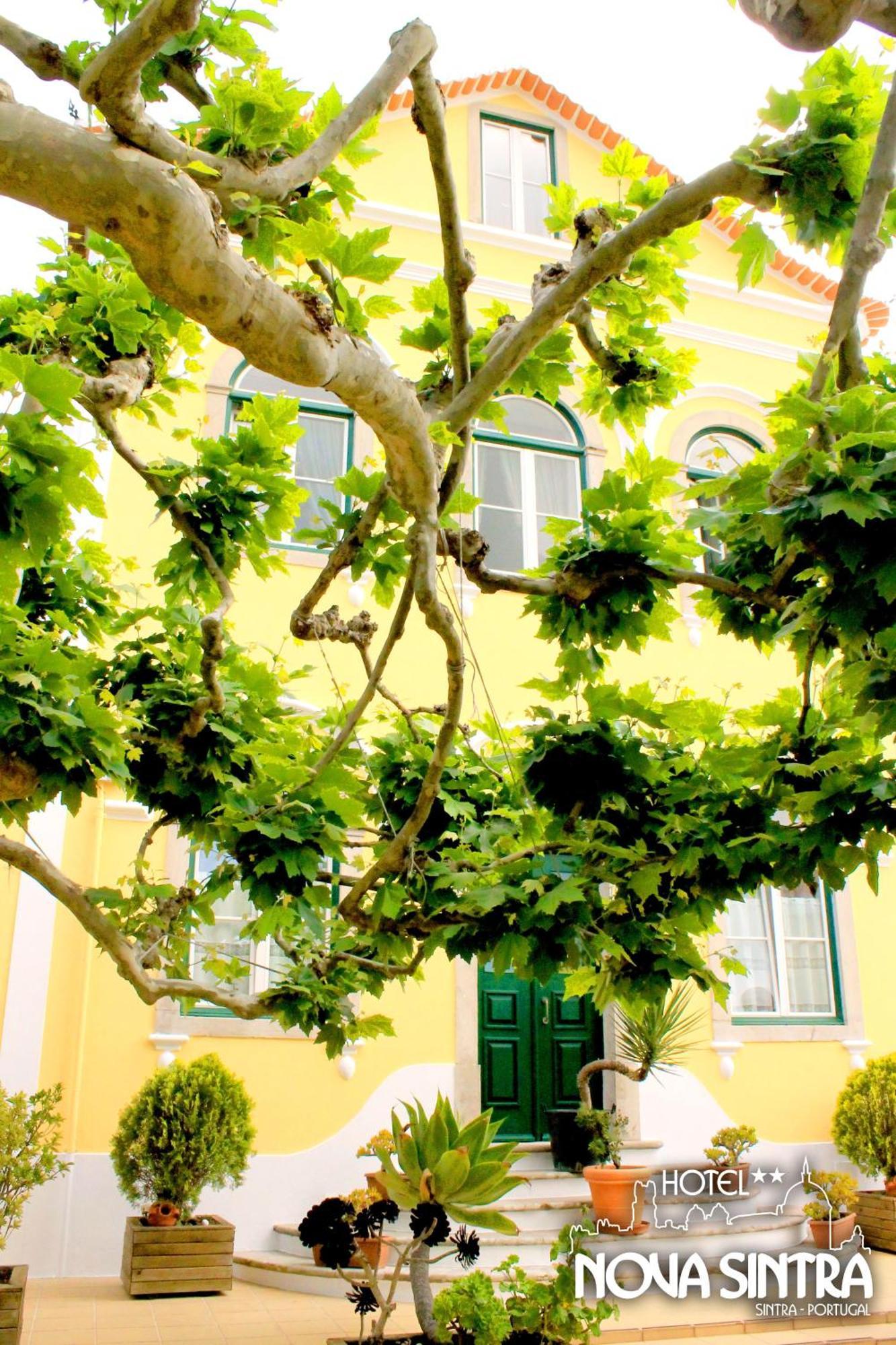 Hotel Nova Sintra Kültér fotó